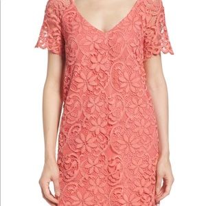 BB Dakota lace shift dress